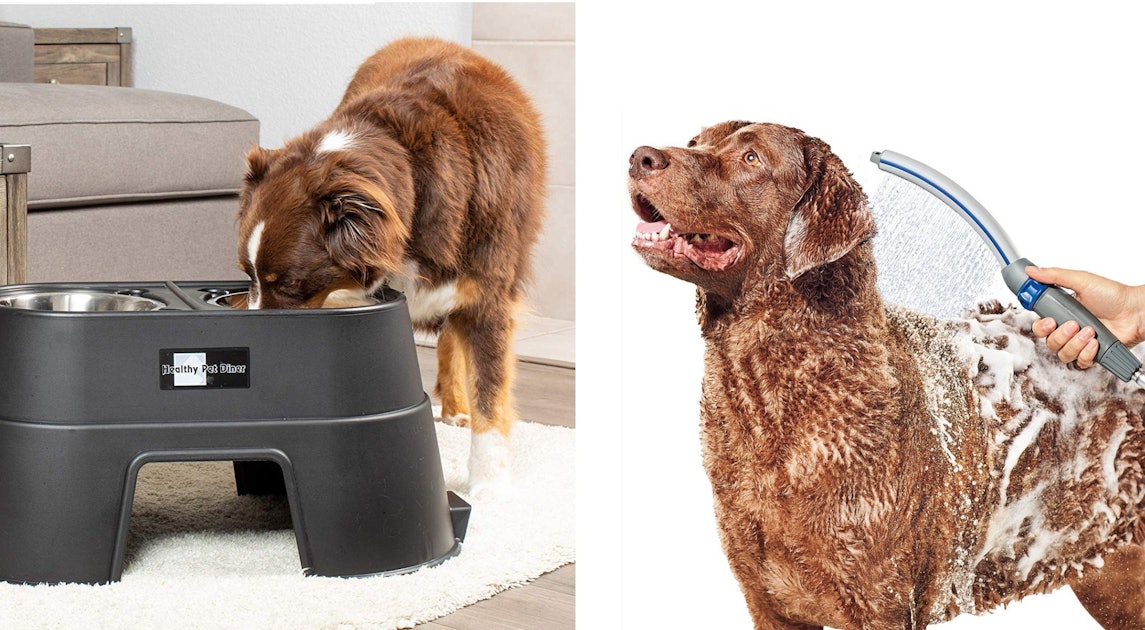37 Genius Pet Products That Must Have Been Invented By A Dog Whisperer