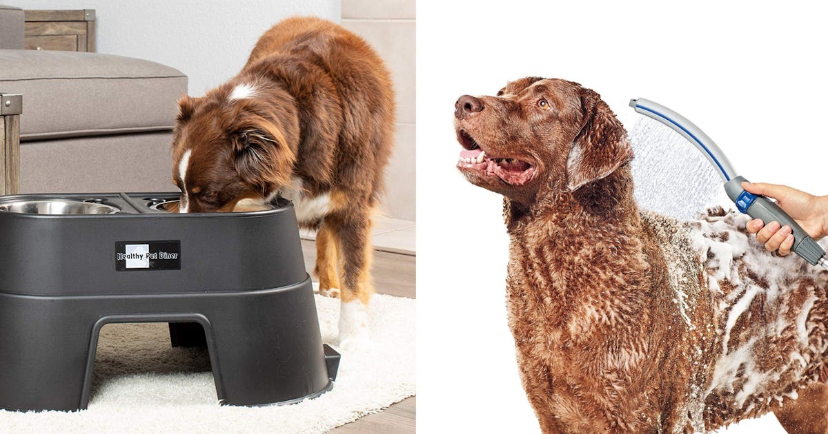 37 Genius Pet Products That Must Have Been Invented By A Dog Whisperer