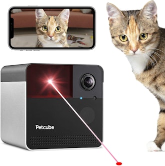 The Best Pet Camera For Cats With A Laser Pointer