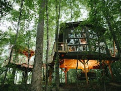 A treehouse rental on Airbnb has fairy lights and sits in the middle of the woods in South Carolina....