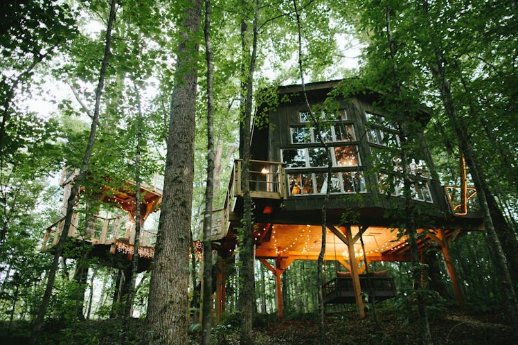 A treehouse rental on Airbnb has fairy lights and sits in the middle of the woods in South Carolina....