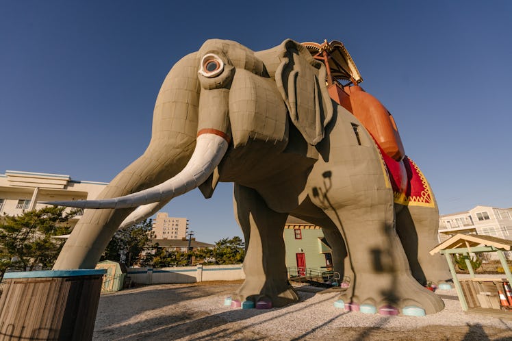Lucy the Elephant is six stories tall and is now available to rent on Airbnb at the Jersey Shore.