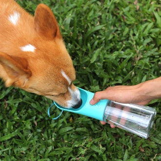 UPSKY Dog Water Bottle