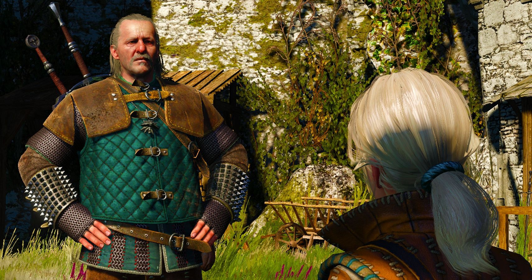 cast of the witcher
