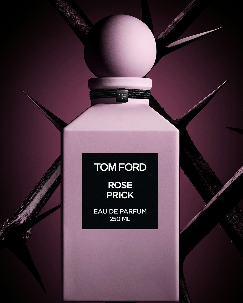 Rose prick best sale tom ford notes