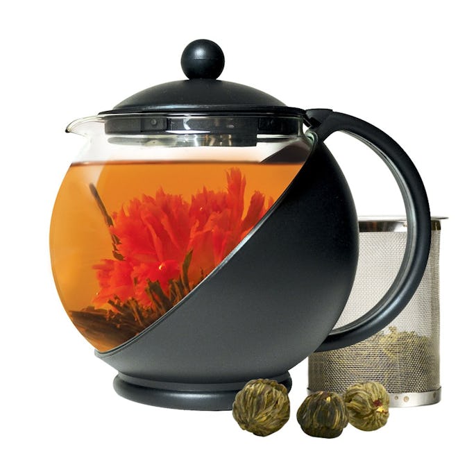 Primula Borosilicate Glass Teapot