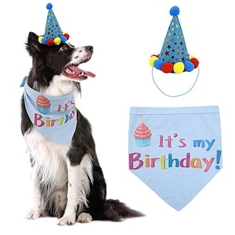 PUPTECK Dog Birthday Bandana
