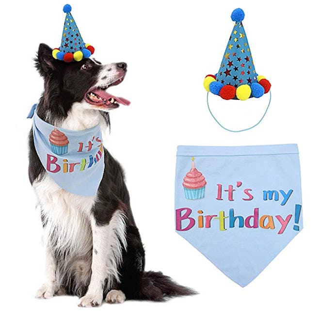 PUPTECK Dog Birthday Bandana