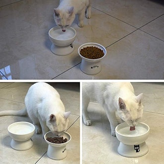 YY FOREYY Raised Cat Food And Water Bowl Set