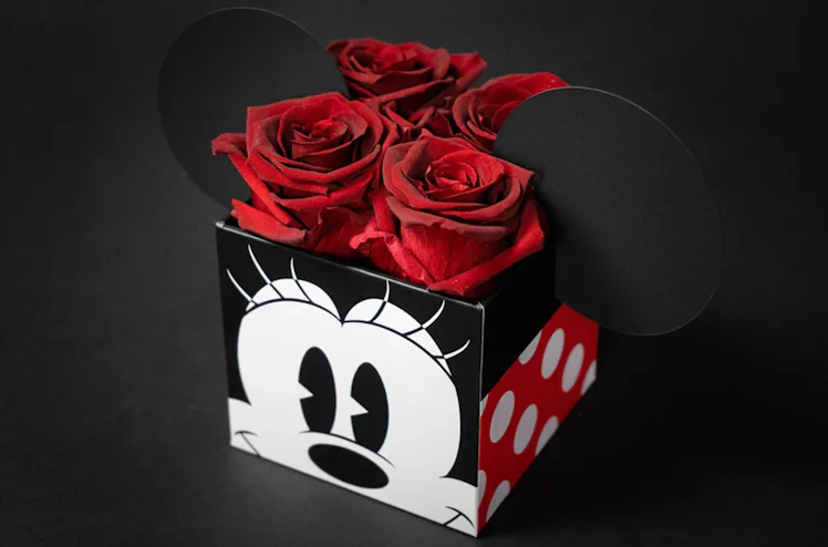The Roseshire x Disney Collection Is Straight-Up Magical