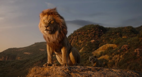 A California elementary school PTA screened "The Lion King" at a babysitting fundraiser and now face...