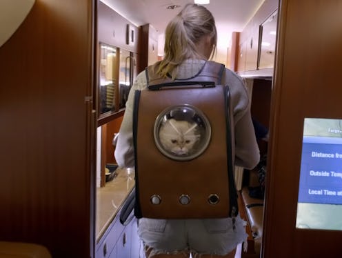 Taylor Swift's cat backpack from "Miss Americana" is available on Amazon.
