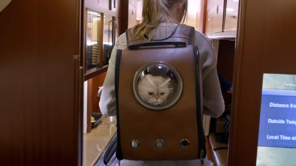 Taylor Swift s Cat Backpack From Miss Americana Is Available On Amazon taylor-swift-s-cat-backpack-from-miss-americana-is-available-on-amazon