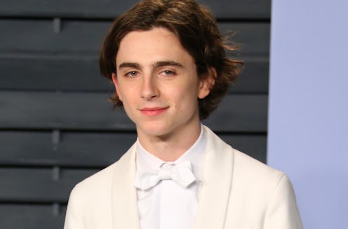 Is Timothée Chalamet Going To The 2020 Oscars? ‘Little Women’ Scored 6 Noms