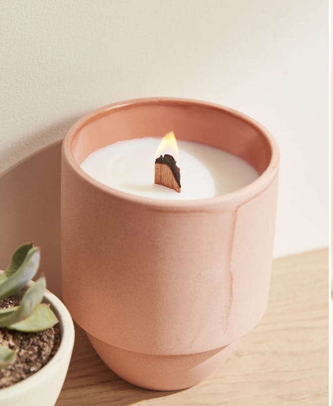Parks Candle: Cactus Flower & Fern