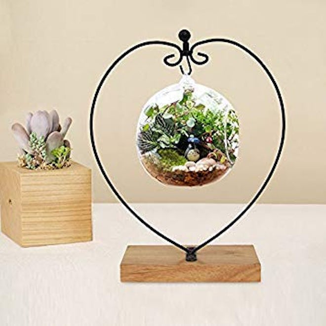 Awesomes Air Plant Stand