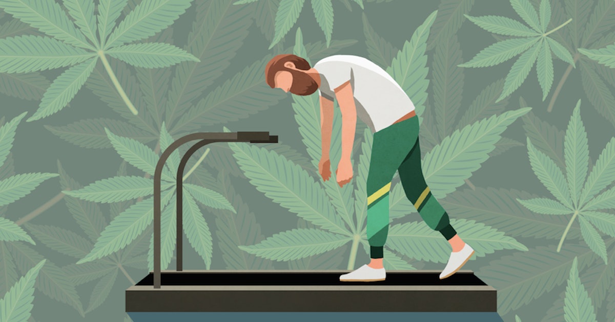 4 Fast Ways To Get Thc Out Of Your System