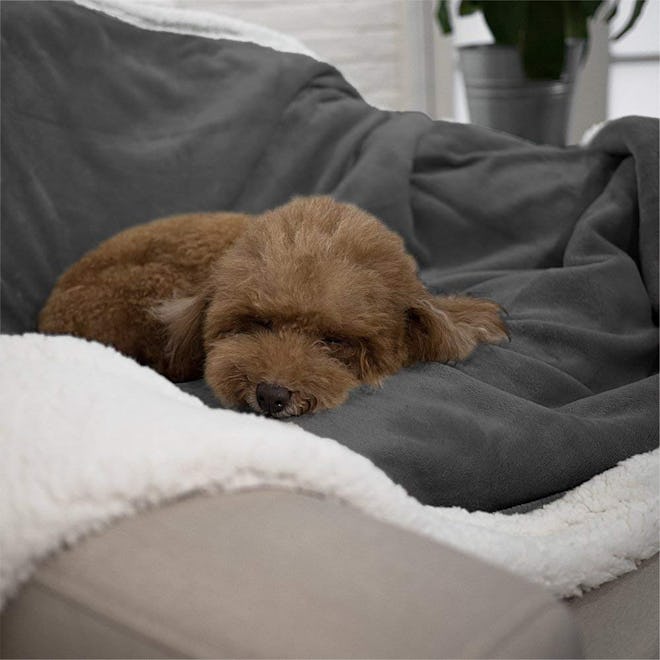 PetAmi Waterproof Dog Blanket