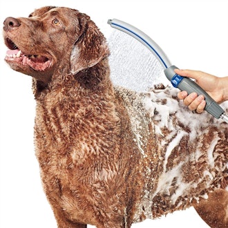 Waterpik Pet Shower Sprayer Attachment