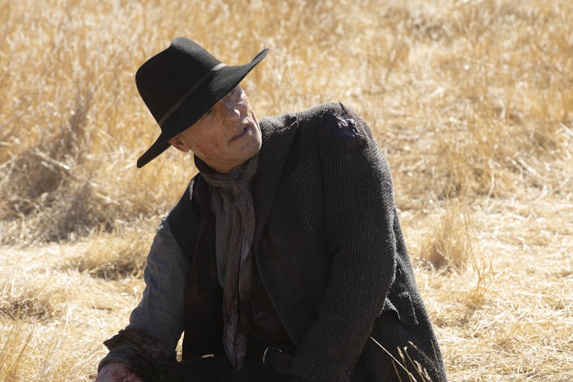 William spent 'Westworld' Season 2 on a quest for the Door