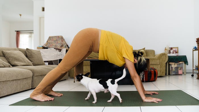 A pregnant person stretches in down dog over a cat