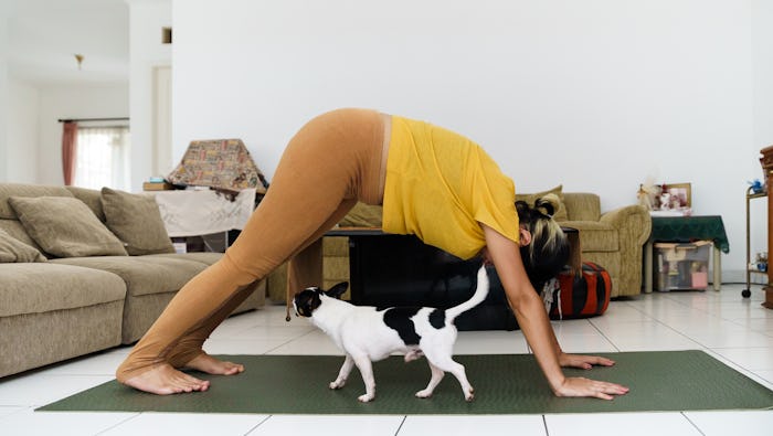 A pregnant person stretches in down dog over a cat