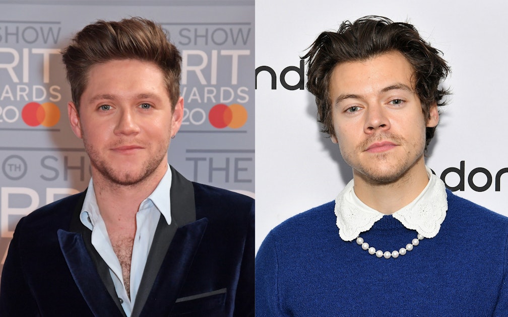 Niall Horan's Story About Meeting Up With Harry Styles Will Make You Smile
