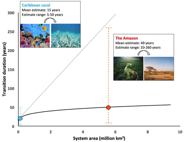Huge ecosystems could collapse in less than 50 years – new study