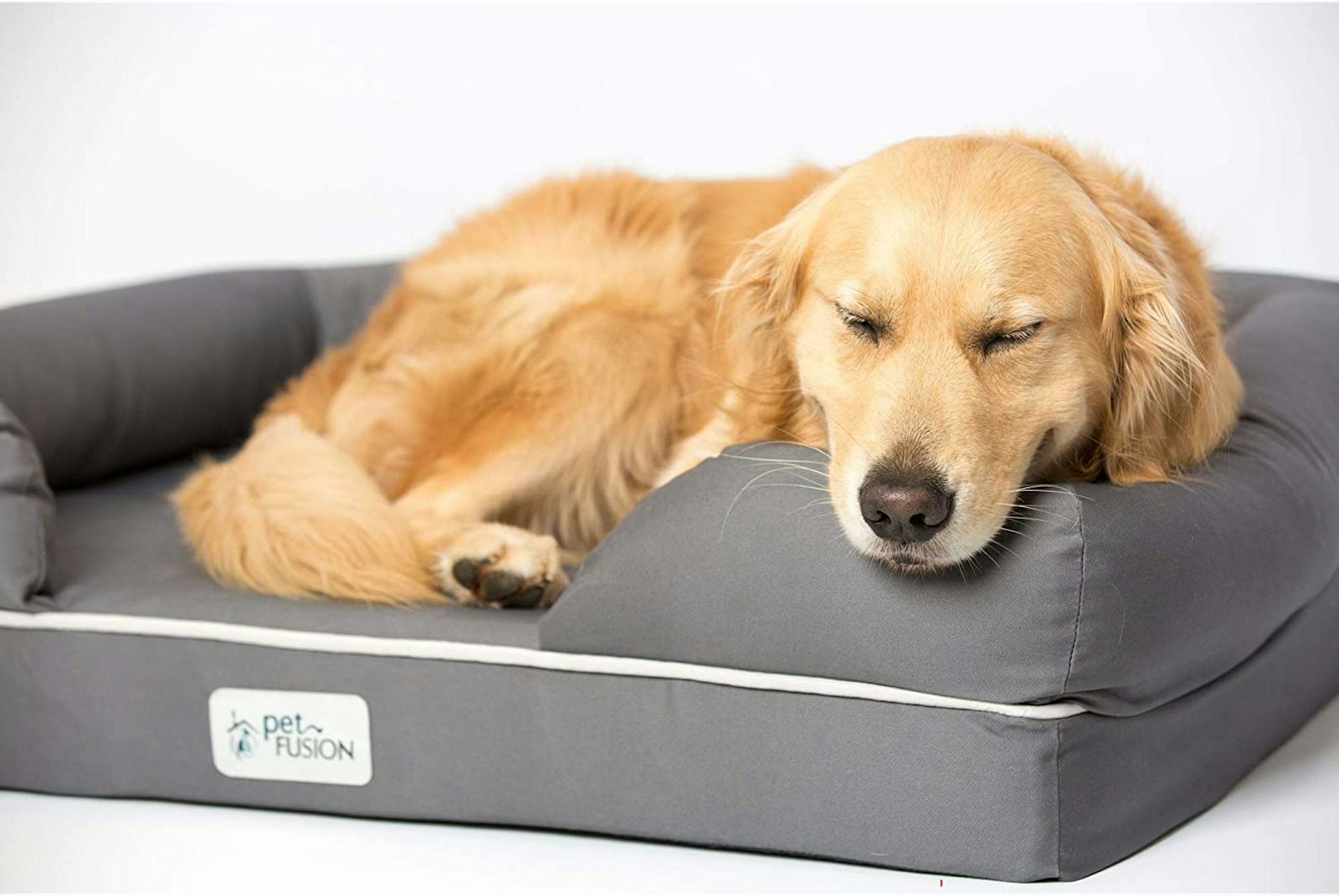 The 5 Best Memory Foam Dog Beds