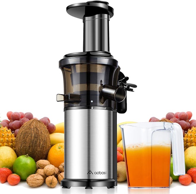 Aobosi Slow Masticating Cold-Press Juicer 