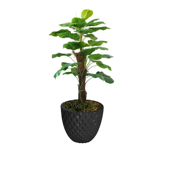 Real Touch Greenery In Fiberstone Planter 