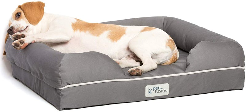 The 5 Best Memory Foam Dog Beds