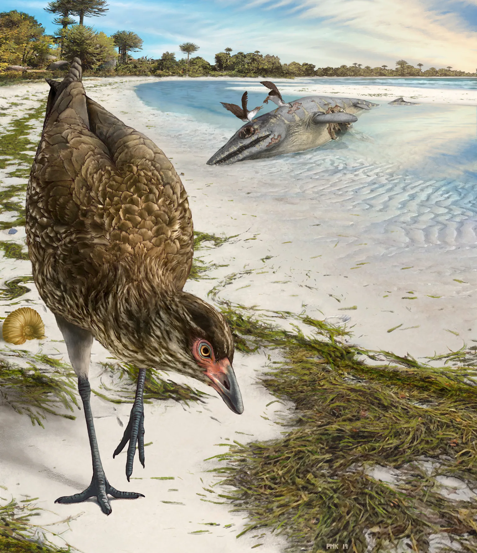 First Ever Bird Meet the ‘Wonderchicken,’ the oldest-ever bird fossil discovery