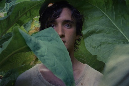 Adriano Tardiolo in "Happy As Lazzaro" movie