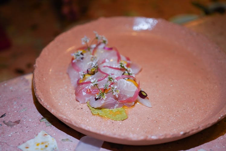 A pink plate has kampachi crudo with lemon koshu at a restaurant in Mexico City.