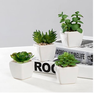 Nattol Small Artificial Succulent Plants Potted in White Ceramic Pots (Set of 4)