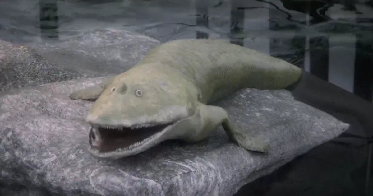 This ancient fish with arms might be the reason you have hands