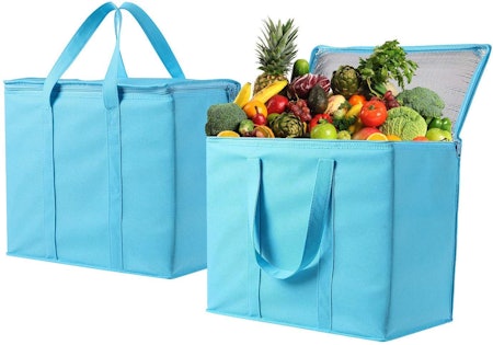 The 4 Best Insulated Grocery Bags