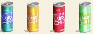 Seltzer Land's 2020 national hard seltzer tour is coming to so many cities.