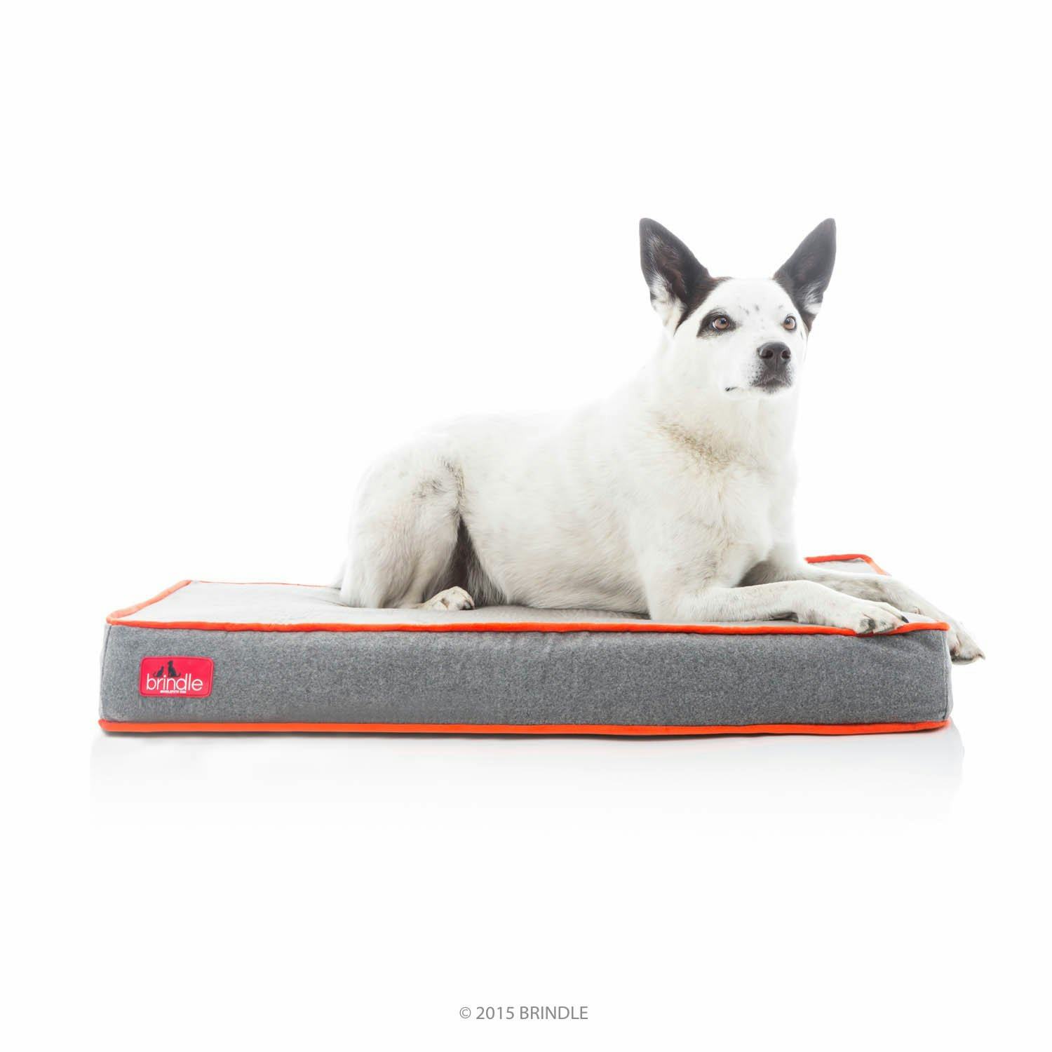 The 5 Best Memory Foam Dog Beds