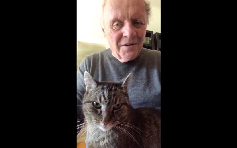 Anthony Hopkins plays piano with his cat on his lap. 