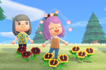 Two female characters from Nintendo's video game 'Animal Crossing: New Horizons' 