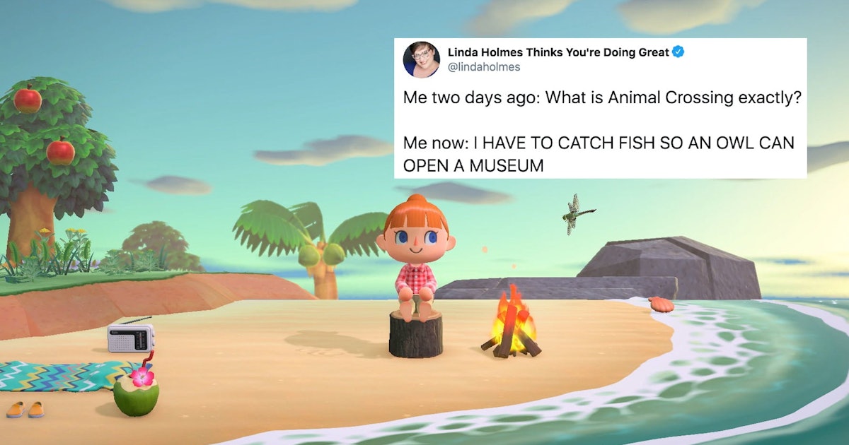 18 Animal Crossing New Horizons Memes That Sum Up Fans Feelings