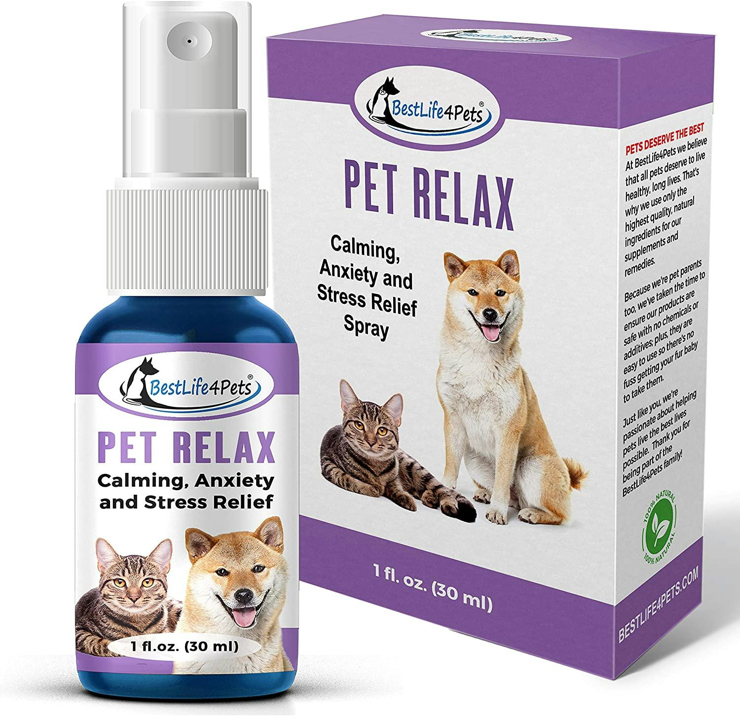 The 3 Best Cat Calming Sprays