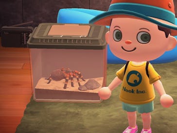 A customized character from "Animal Crossing: New Horizons" next to a box with a tarantula in it