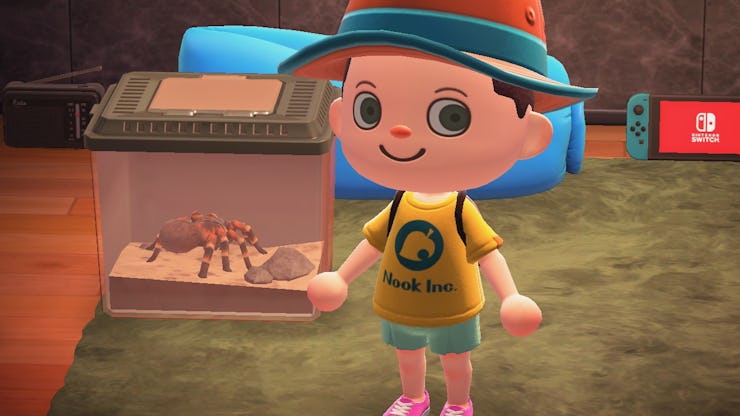 A customized character from "Animal Crossing: New Horizons" next to a box with a tarantula in it