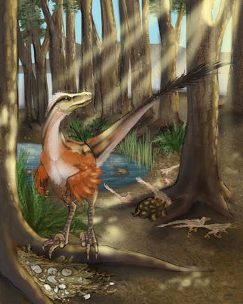 Meet Dineobellator, a new, fierce dinosaur species from 67 million ...