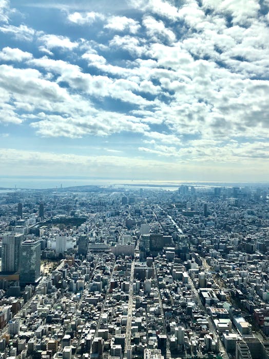 The top of the SkyTree tower in Tokyo, Japan overlooks buildings below on a sunny day.