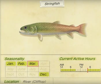 Stringfish 'Animal Crossing: New Horizons' Stringfish location, how to catch for ...