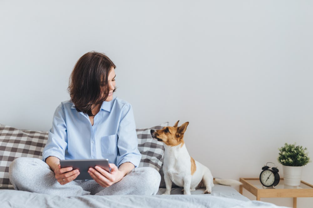 Am I Ready To Foster A Dog? Here Are 8 Ways To Know For Sure